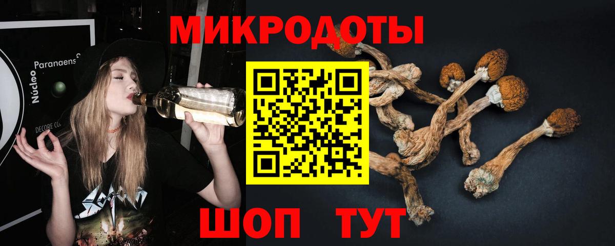 Псилоцибиновые грибы мухоморы  Вход с VPN  Вичуга  Псилоцибиновые грибы мухоморы 
